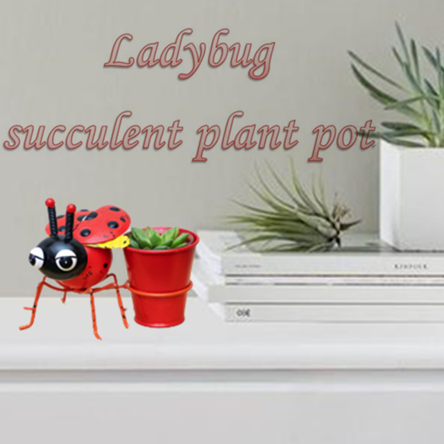 Cute Metal Ladybug Succulent Plant Pots Home Decor China Manufacturer