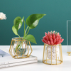 Wholesale Manufacturer Indoor Metal Stand Glass Flower Vase Plant Pot for Home Wedding Table Decor