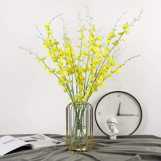 Golden Wrought Iron Simple Modern Transparent Flower Vases for Home Living Room Bedroom Tabletop Decor