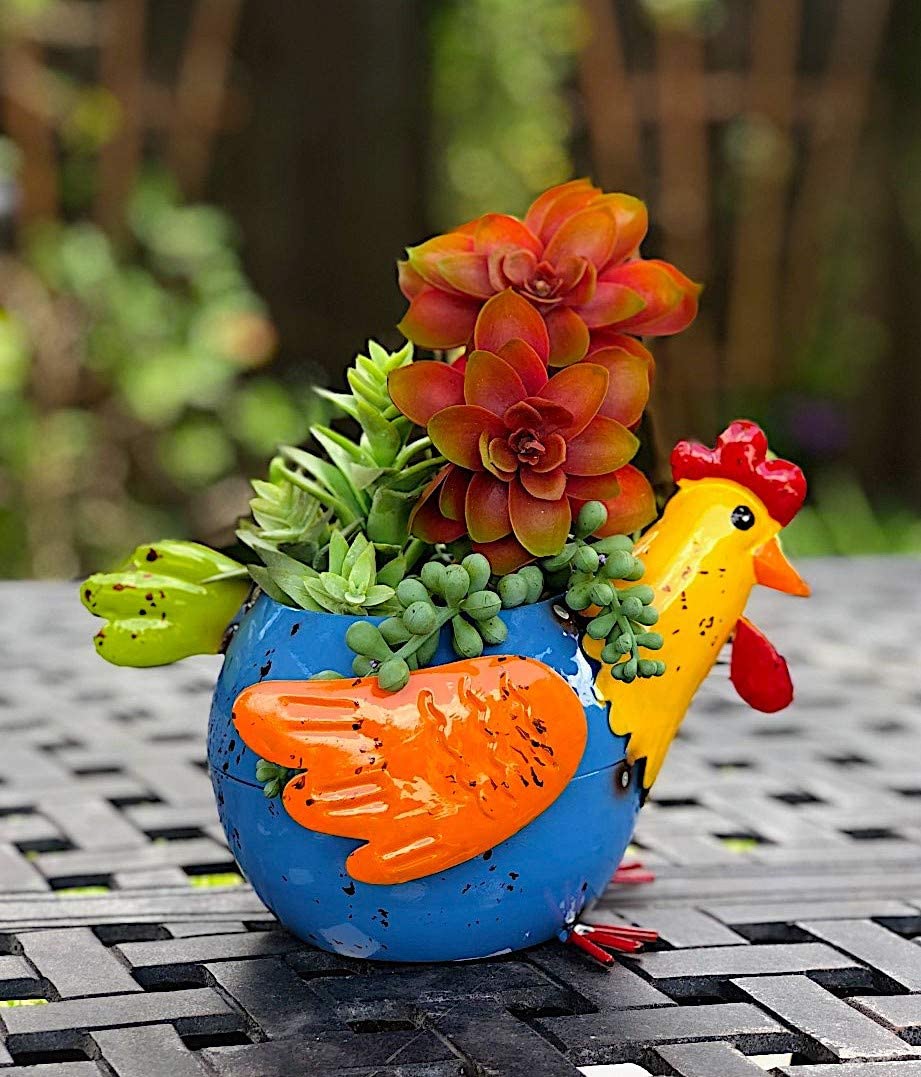 Metal Planter Rooster Chicken Hen Colorful Succulent Flowers Living Fake Artificial Indoor Outdoor Garden Pot Decor Supplier